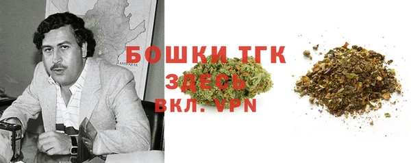 индика Белокуриха