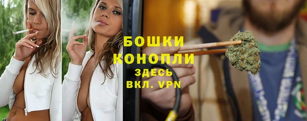 индика Белокуриха