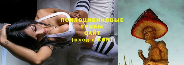 индика Белокуриха