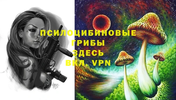 mdpv Беломорск