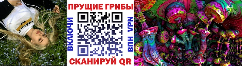 продажа наркотиков  Дмитриев  Псилоцибиновые грибы MAGIC MUSHROOMS 